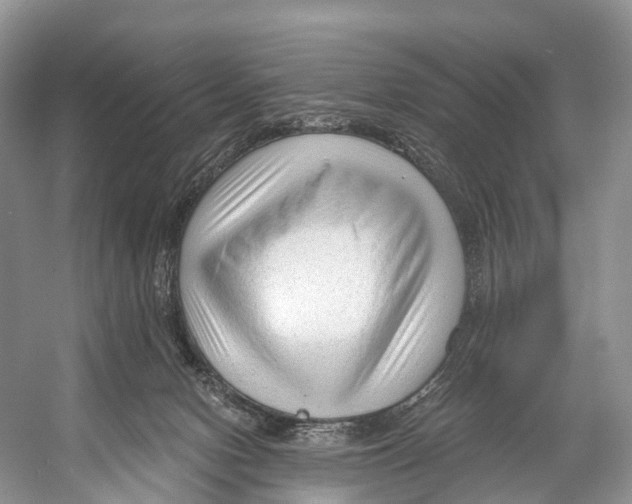 X0000053160078200508081448