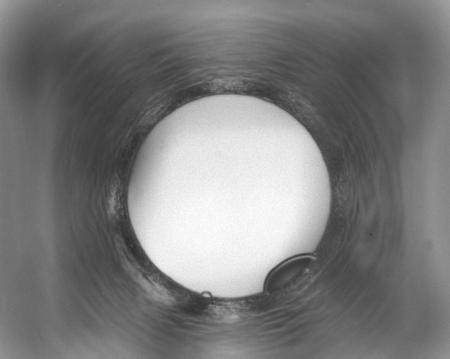 X0000053160079200508081448