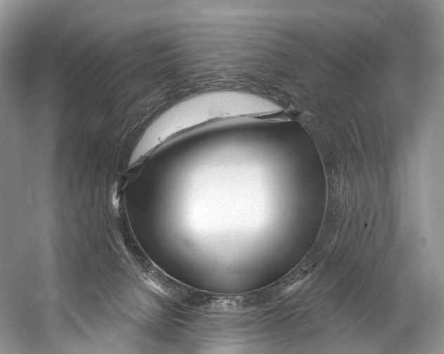 X0000053160080200508081448