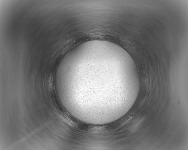 X0000053160081200508081448