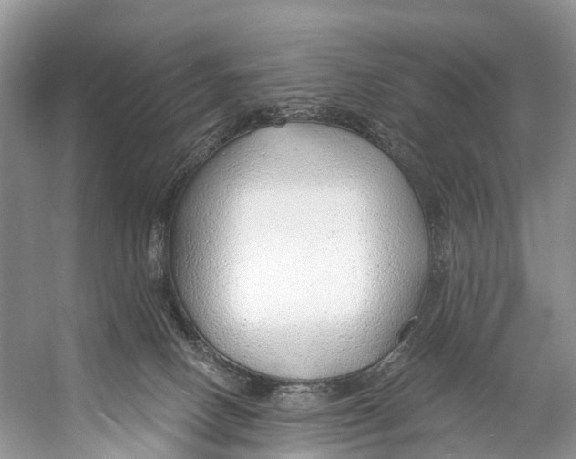X0000053160082200508081448