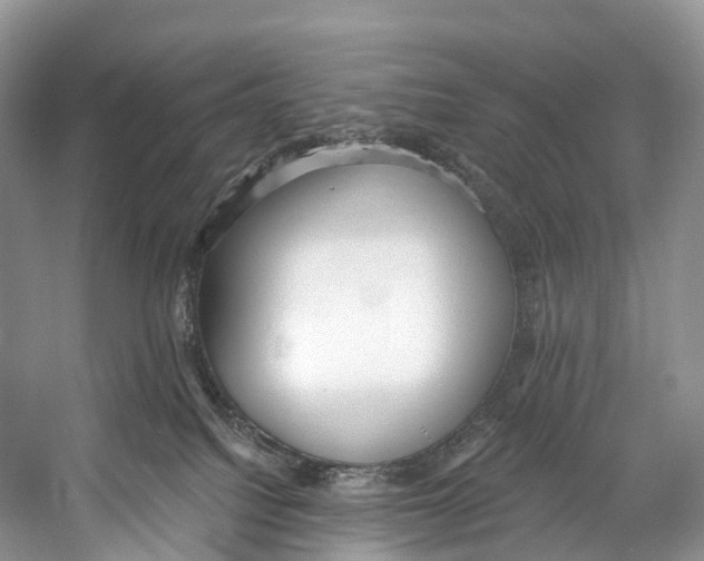 X0000053160088200508081448