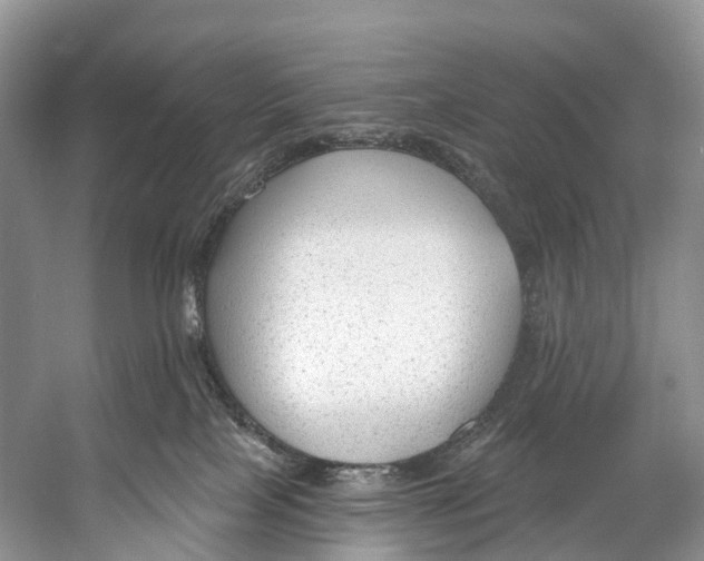 X0000053160089200508081448
