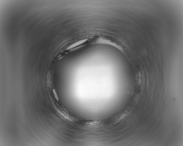 X0000053160092200508081448