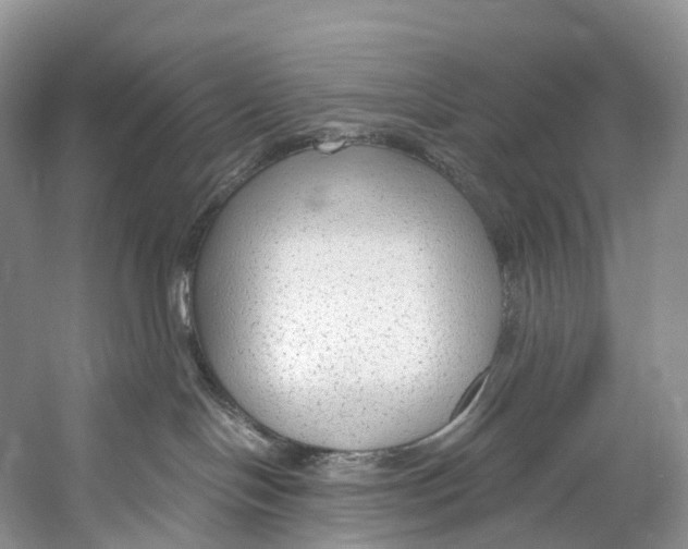 X0000053160094200508081448