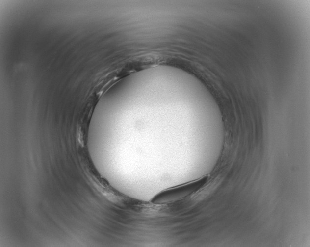 X0000053160096200508081448
