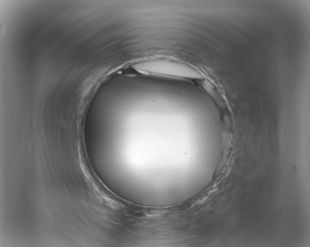 X0000053160097200508081447
