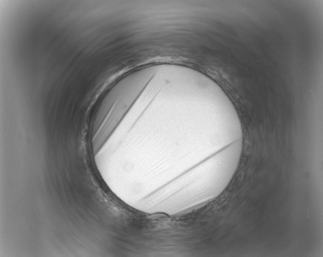 X0000053160098200508081447