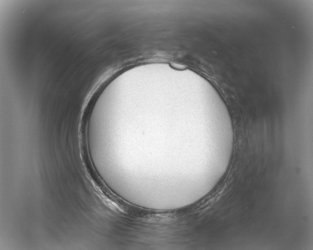 X0000053160102200508081447