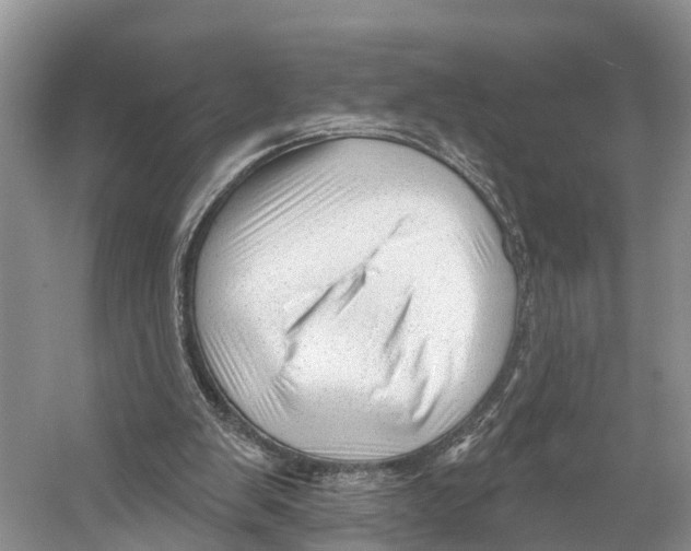 X0000053160103200508081447