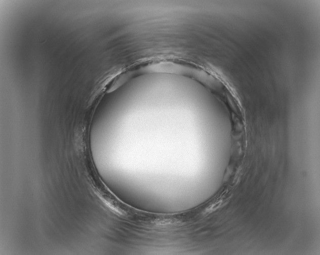 X0000053160105200508081447