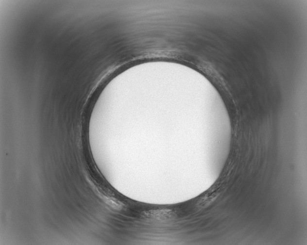 X0000053160108200508081447