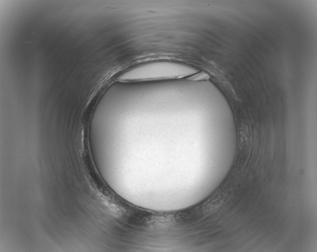 X0000053160110200508081447