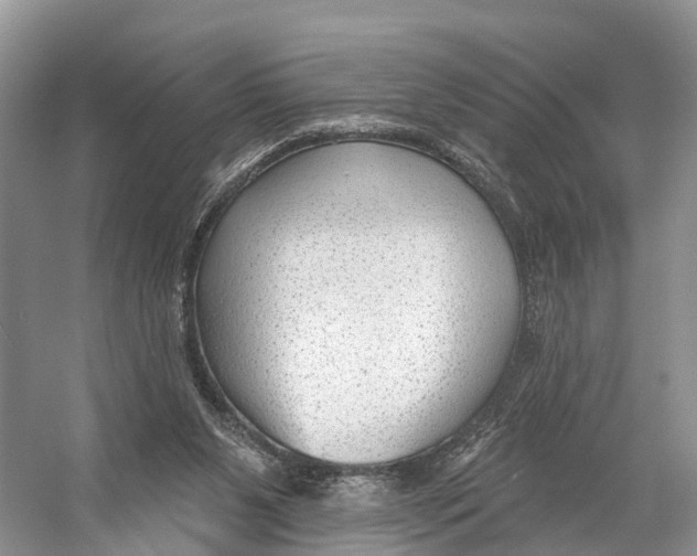 X0000053160111200508081447