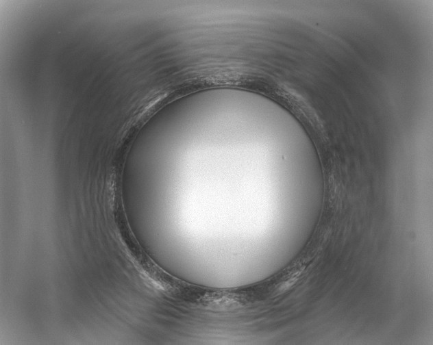 X0000053160113200508081447