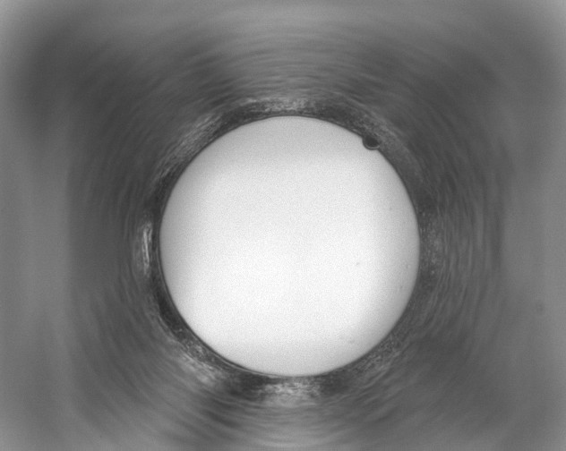 X0000053160118200508081447
