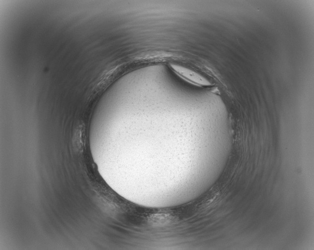 X0000053160119200508081447