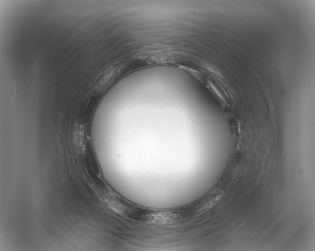 X0000053160121200508081447