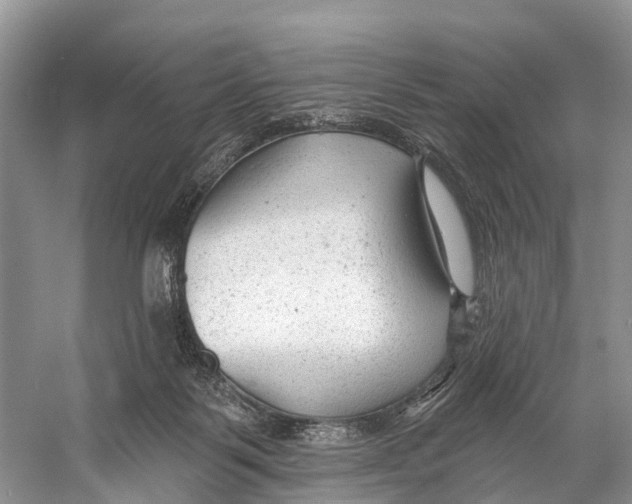 X0000053160123200508081447