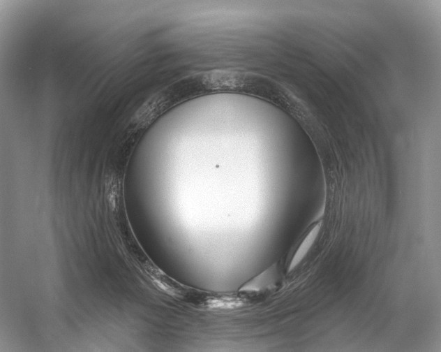 X0000053160125200508081447