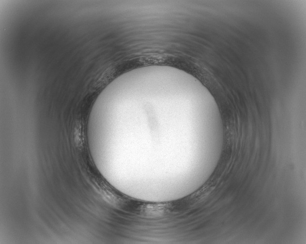 X0000053160134200508081447