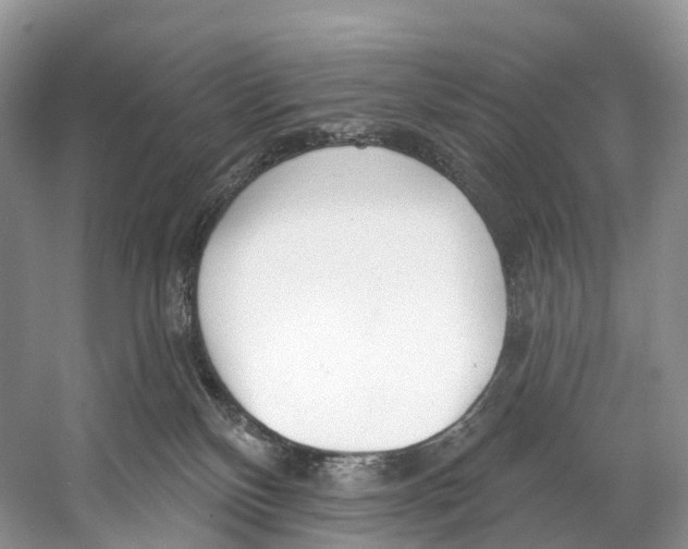 X0000053160136200508081447