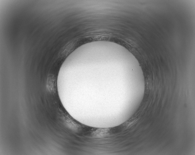 X0000053160138200508081447