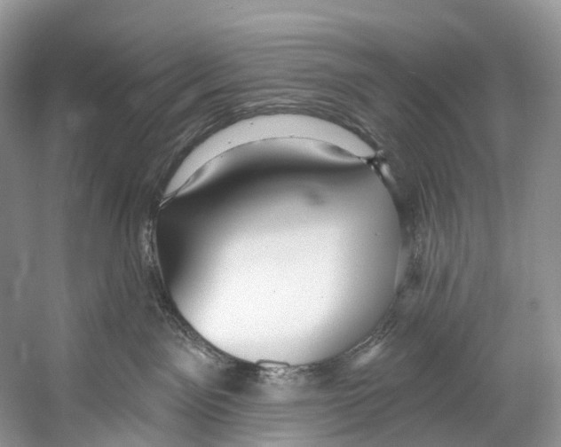 X0000053160141200508081447