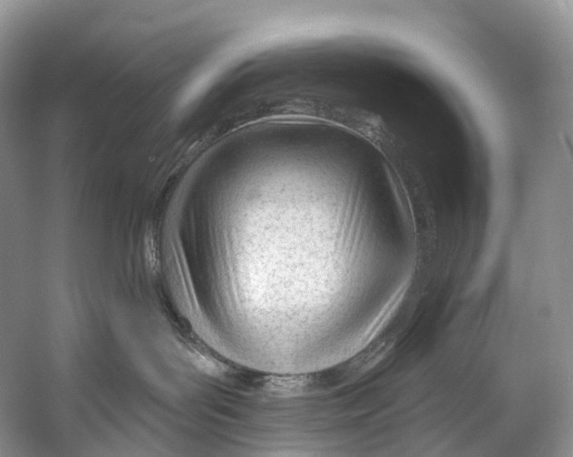 X0000053160143200508081446