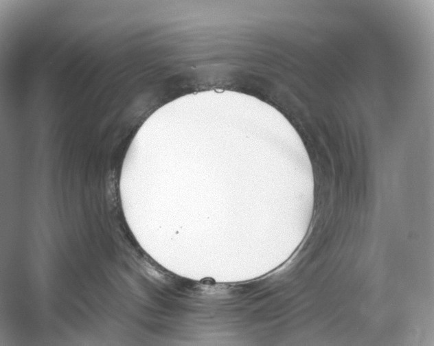 X0000053160144200508081446