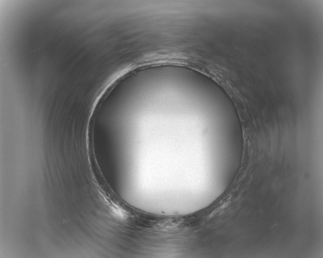 X0000053160148200508081446