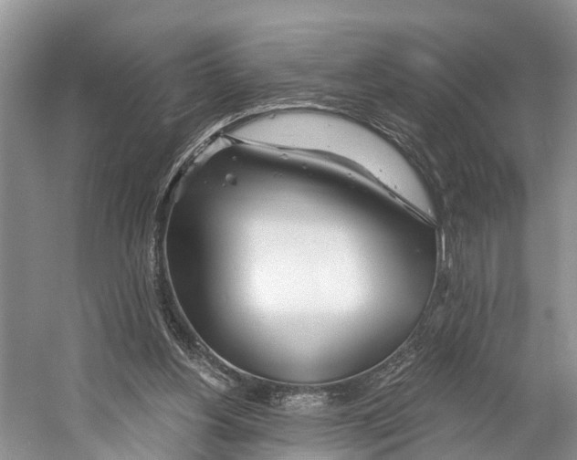 X0000053160156200508081446