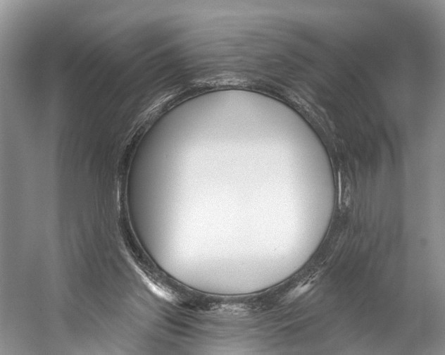 X0000053160157200508081446