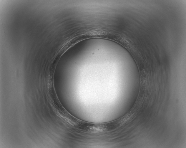 X0000053160164200508081446