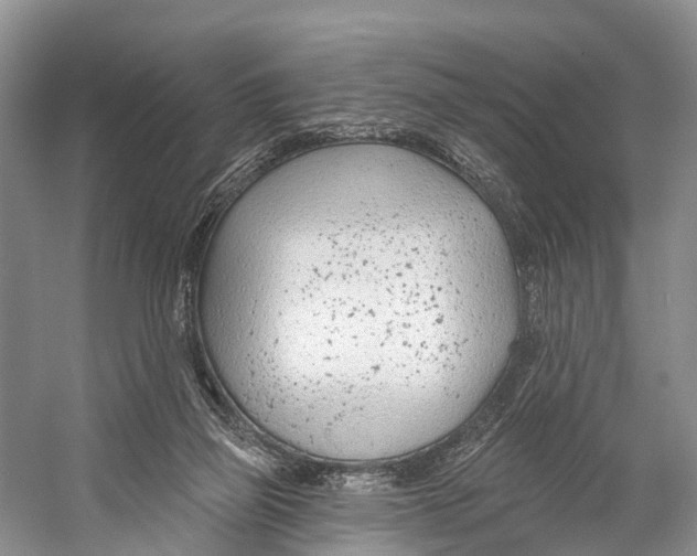 X0000053160165200508081446