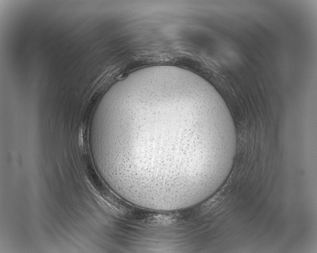 X0000053160166200508081446