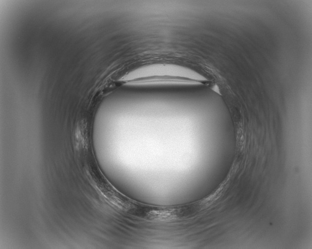 X0000053160170200508081446