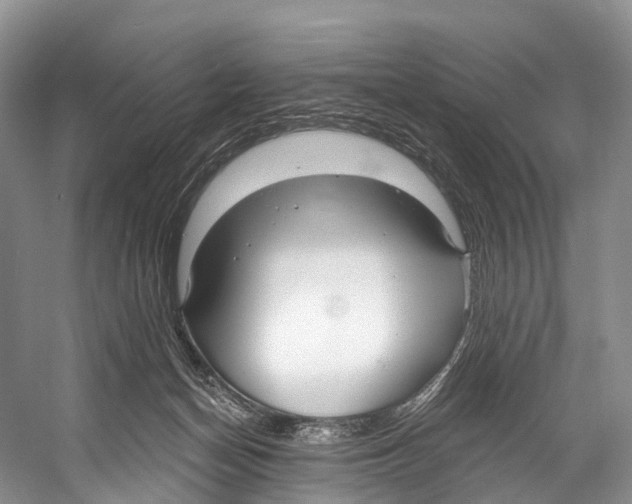 X0000053160174200508081446