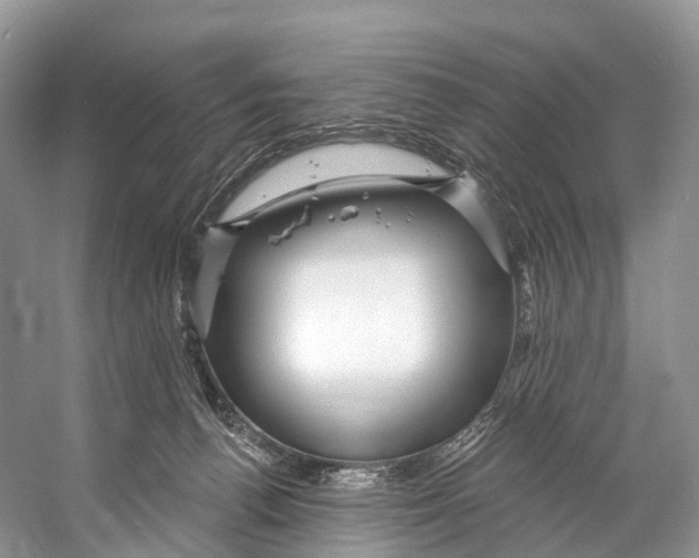 X0000053160176200508081446