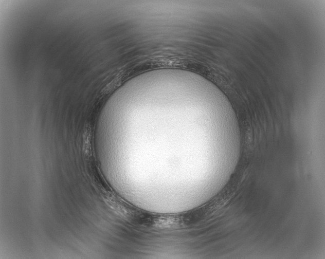 X0000053160177200508081446