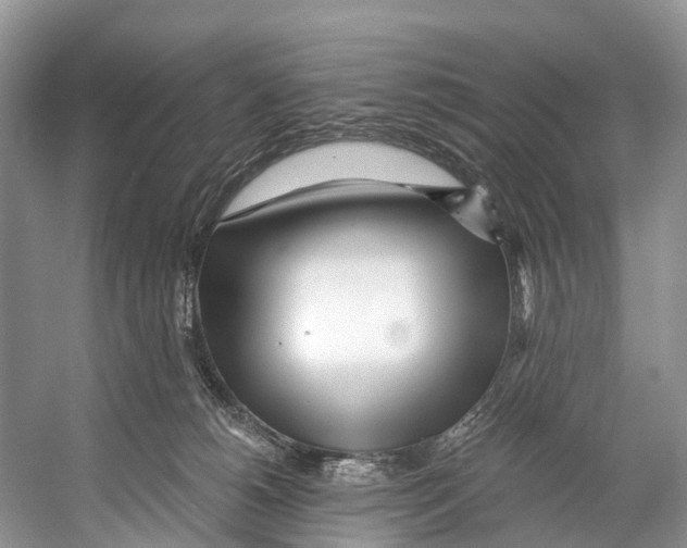 X0000053160180200508081446