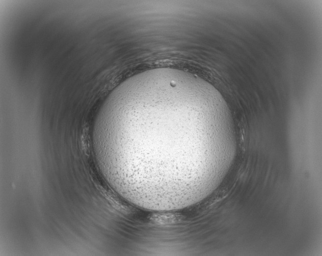 X0000053160181200508081446
