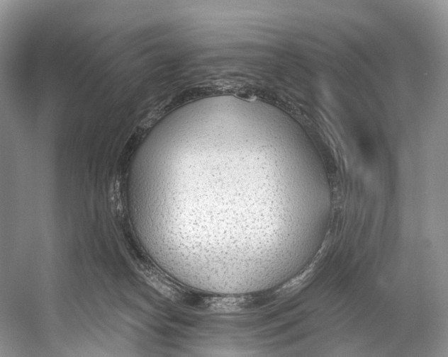 X0000053160182200508081446