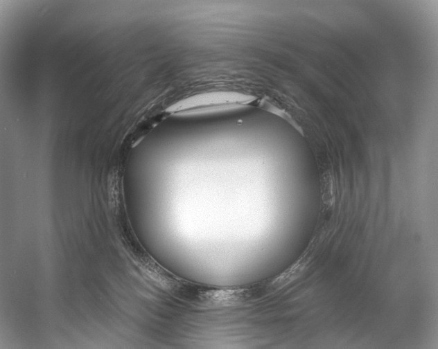 X0000053160184200508081446