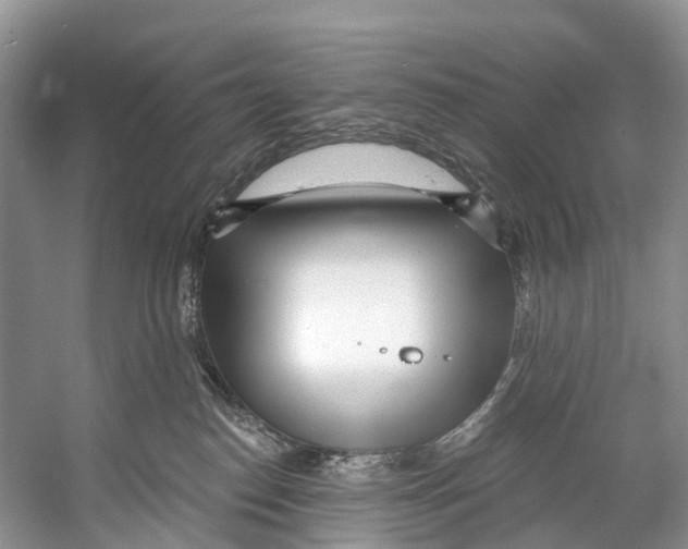 X0000053160186200508081446