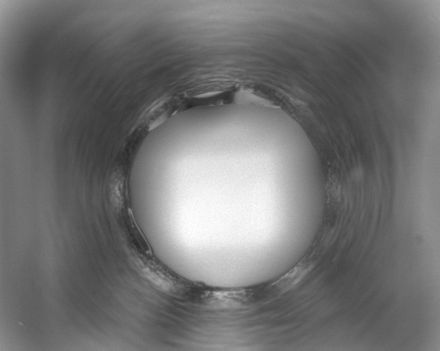 X0000053160188200508081446