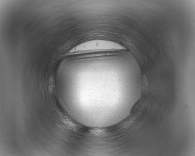 X0000053160189200508081446