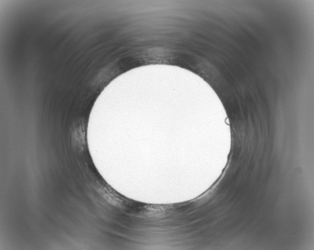 X0000053160190200508081446