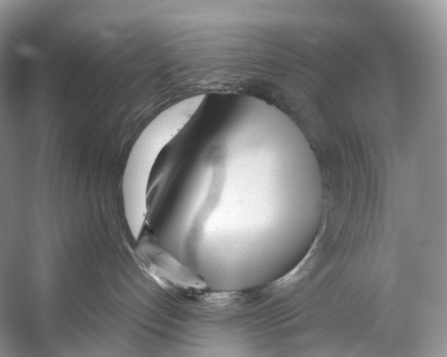 X0000053160192200508081446