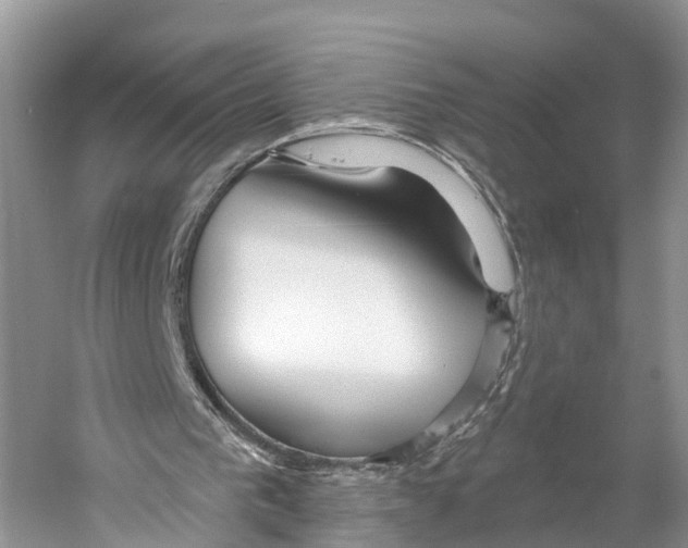 X0000053160193200508081446